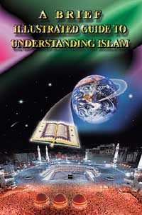 Cover of the book. Click here to enlarge